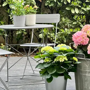 https://loft-g-hospitality.it-lombardy.com